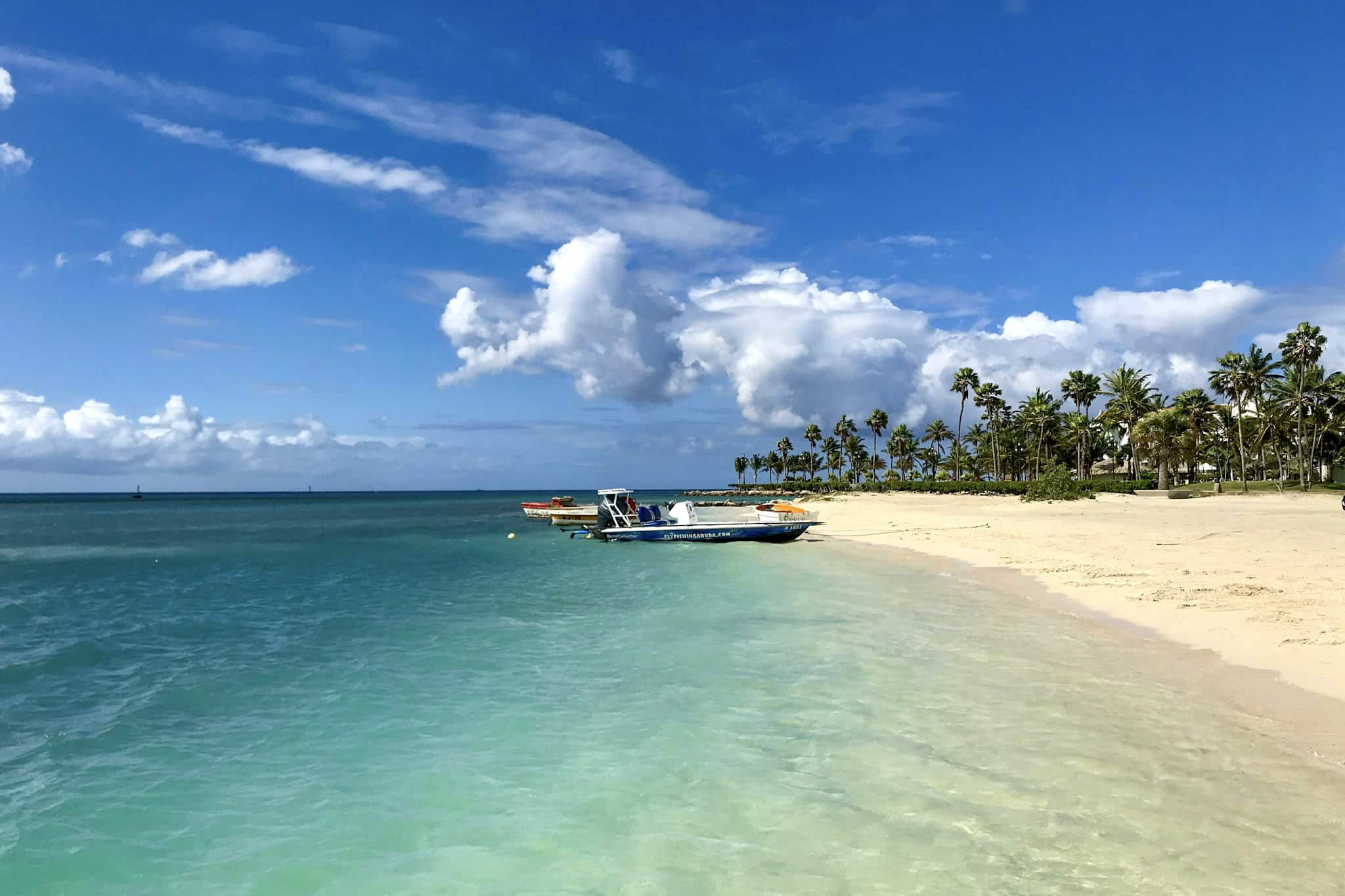 Best Caribbean Islands for Snorkeling Aruba