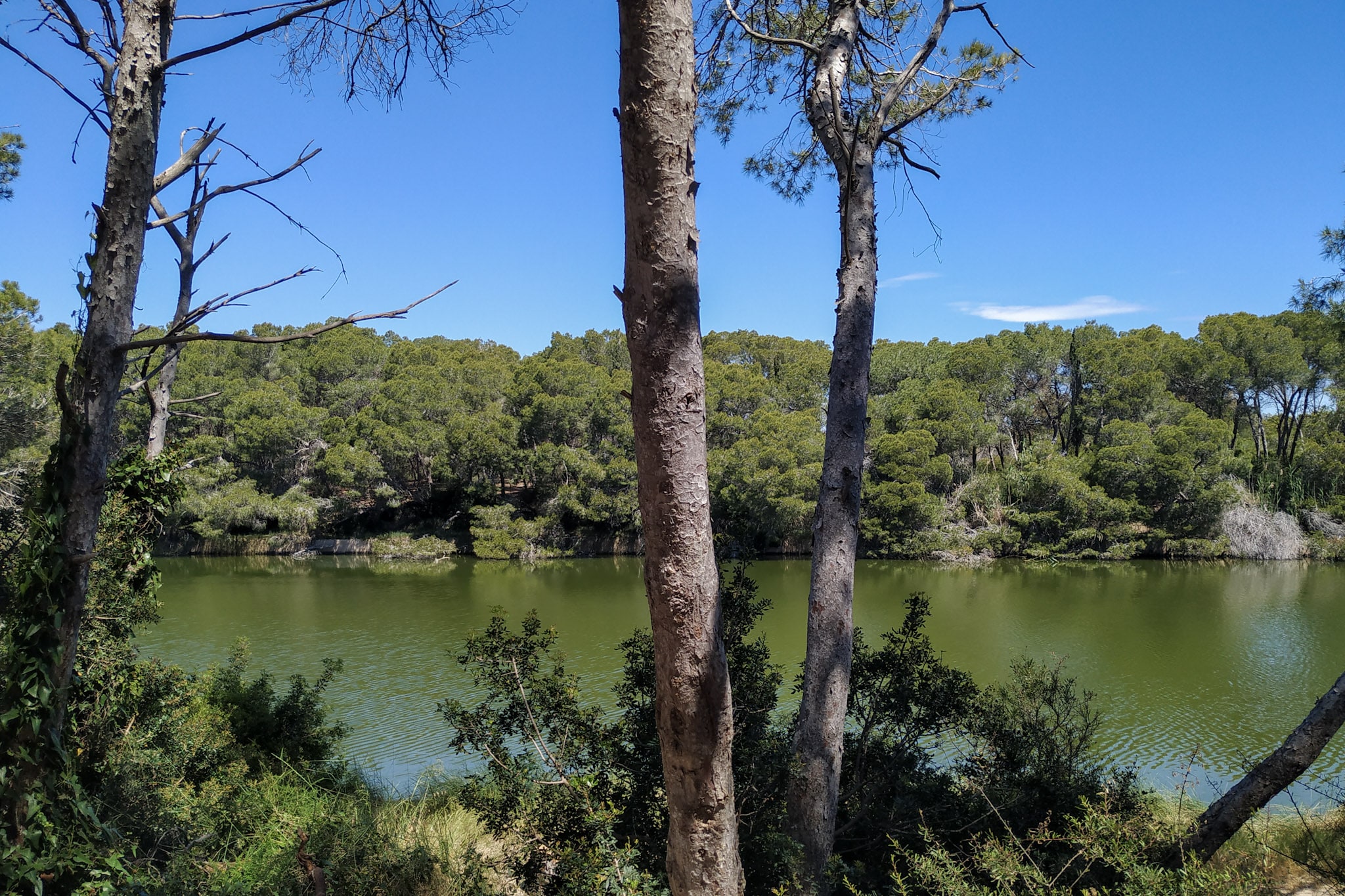 Albufera Natural Park