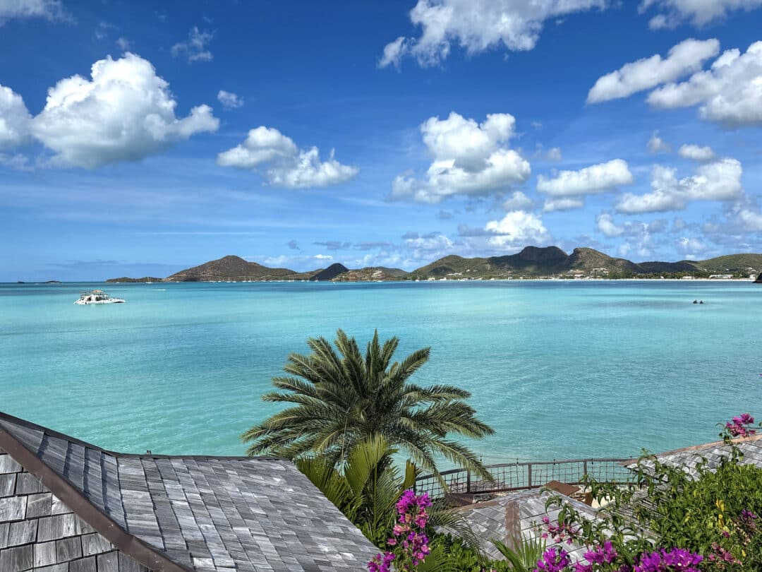 A7 ココバット A TOURIST GUIDE TO COCOBAT+MICH A7 ココバット A TOURIST GUIDE TO COCOBAT+MICH Cocobay