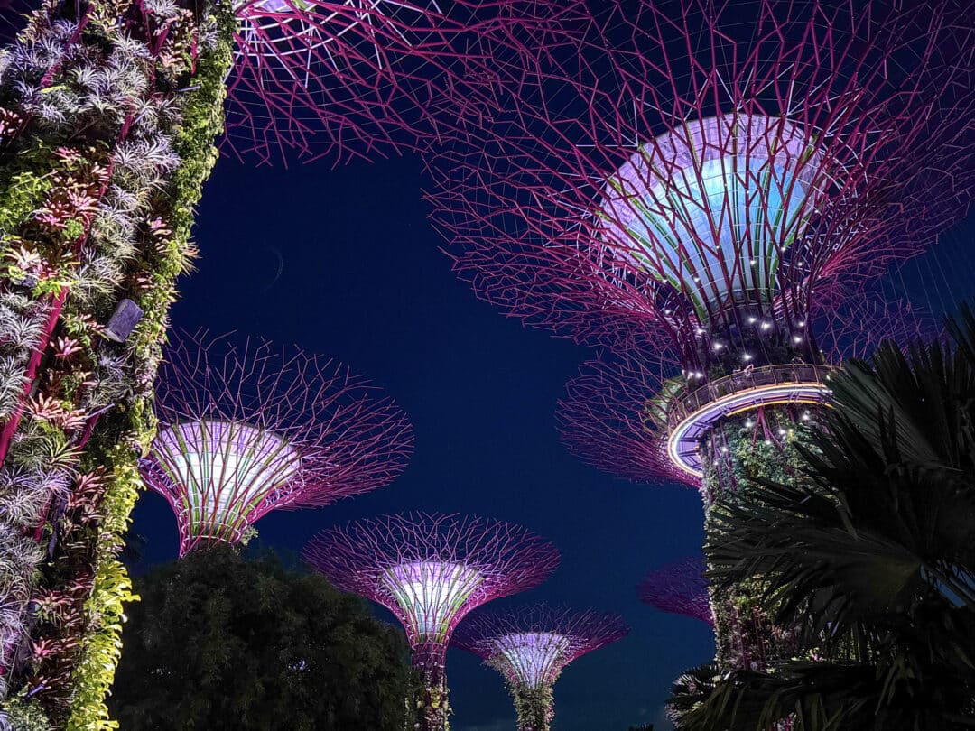 2 days in singapore itinerary gardens supertree