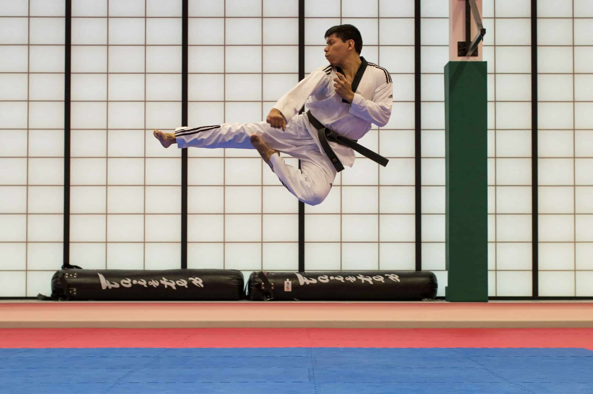 fun facts about okinawa karate