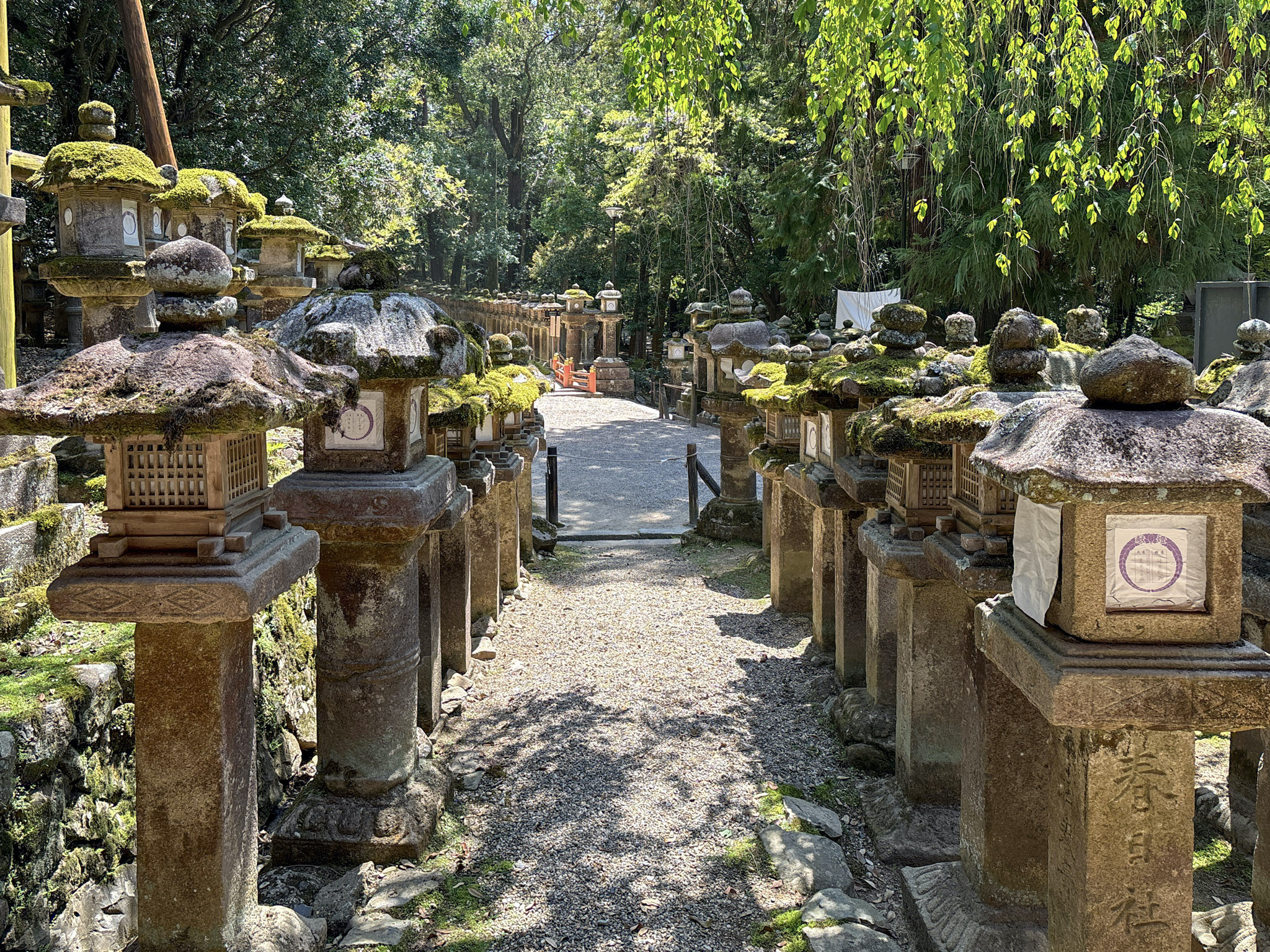 nara day trip kasuga taisha shrine