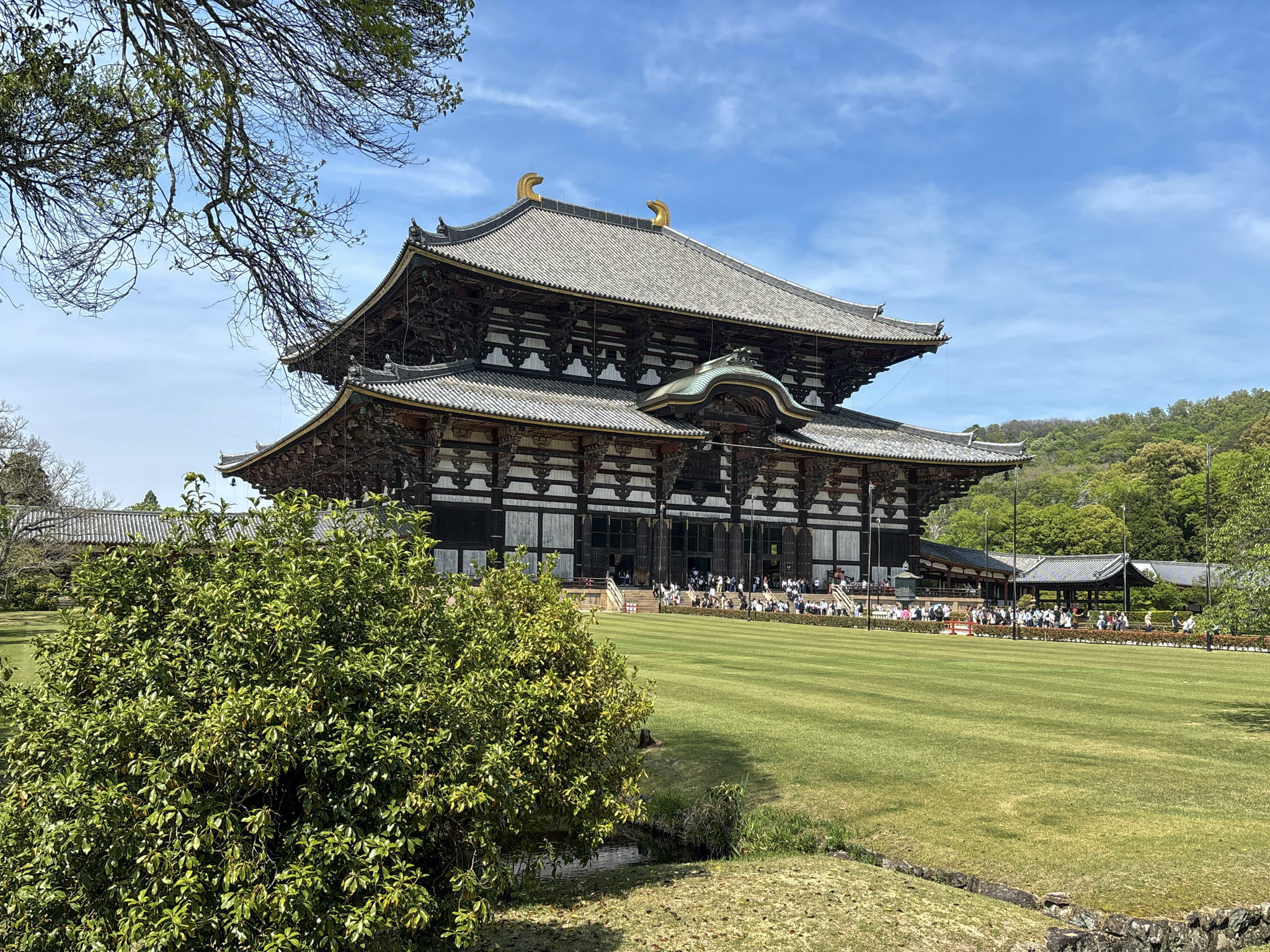 nara day trip todai-ji