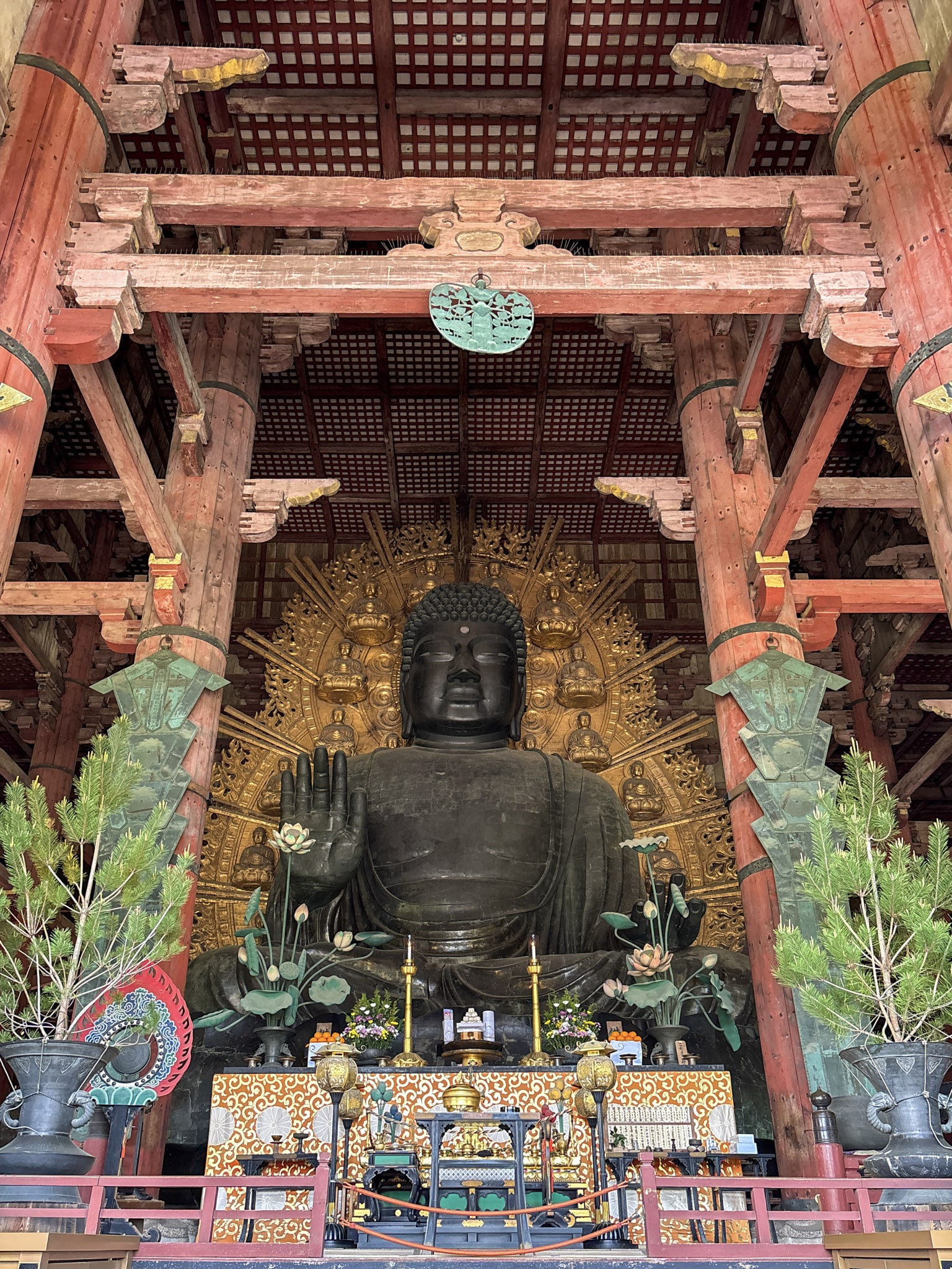 nara day trip buddha todaiji