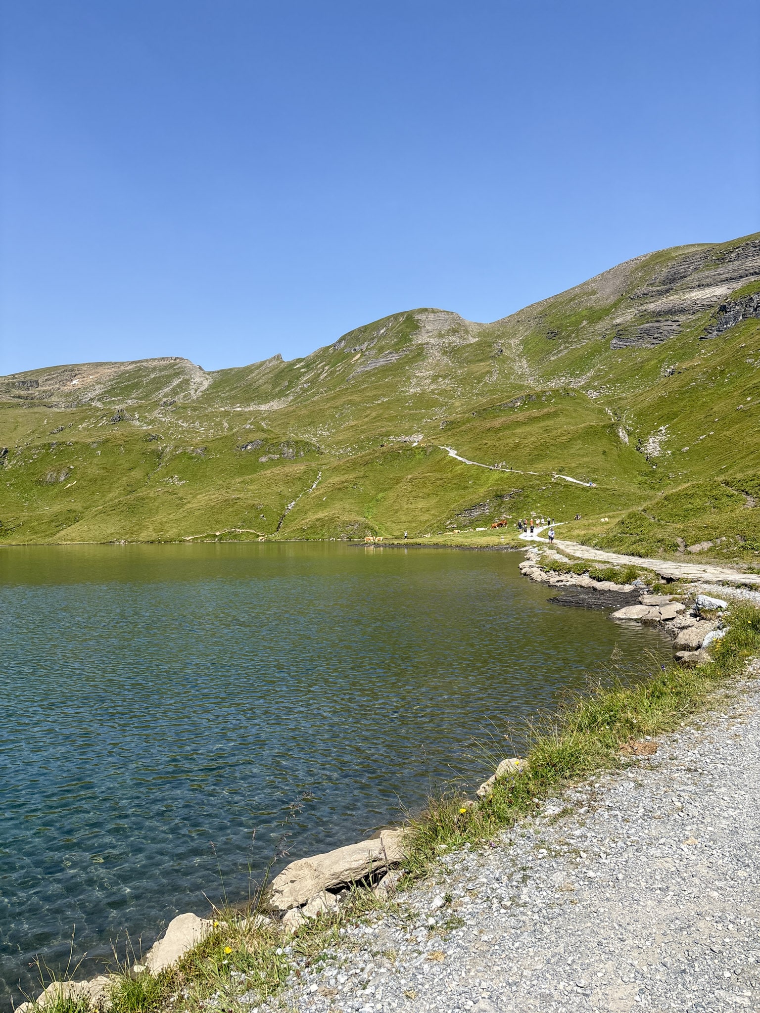 Bachalpsee Hike Grindelwald First Switzerland