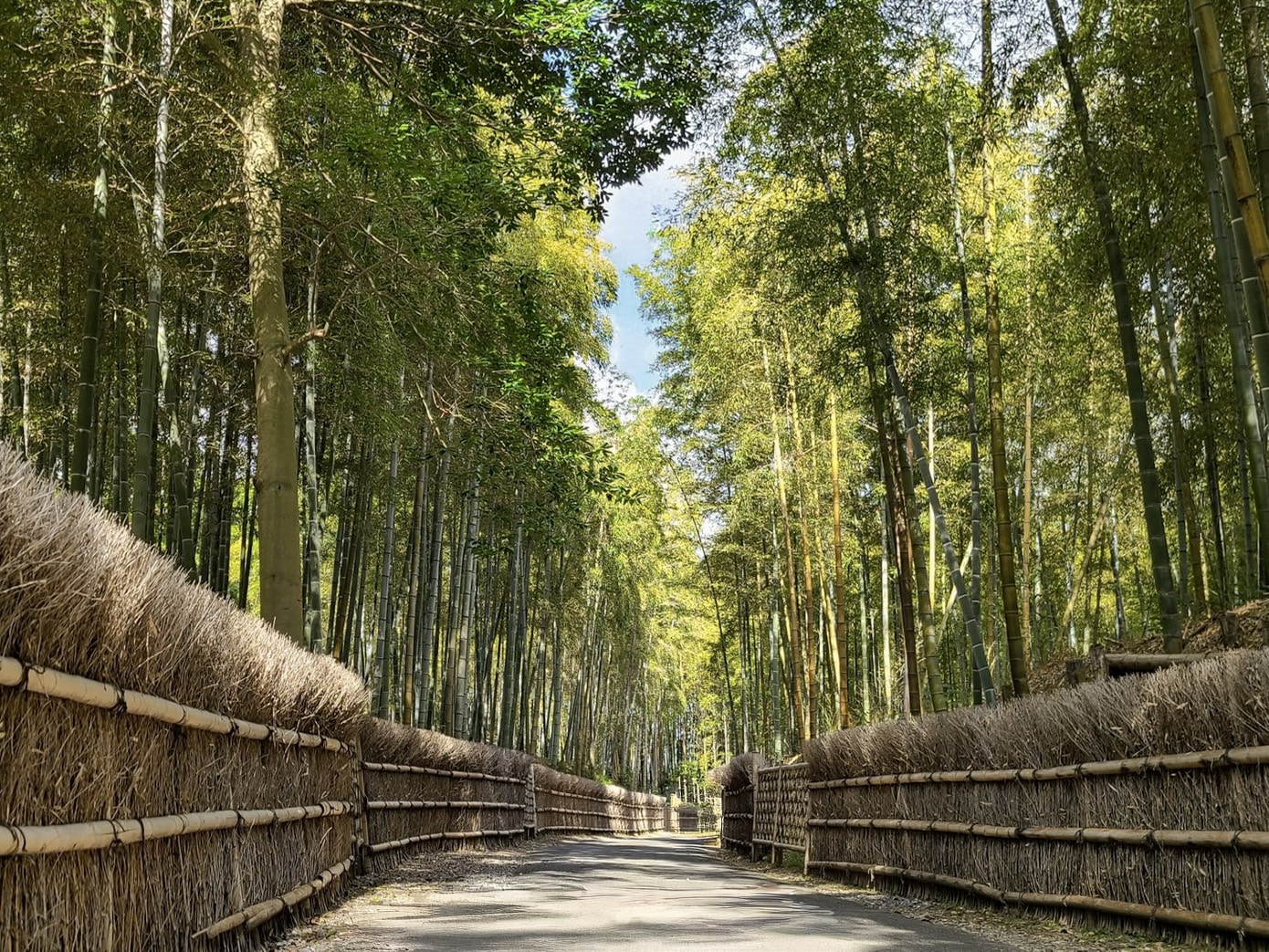Take-no-Michi Path (Muko City)