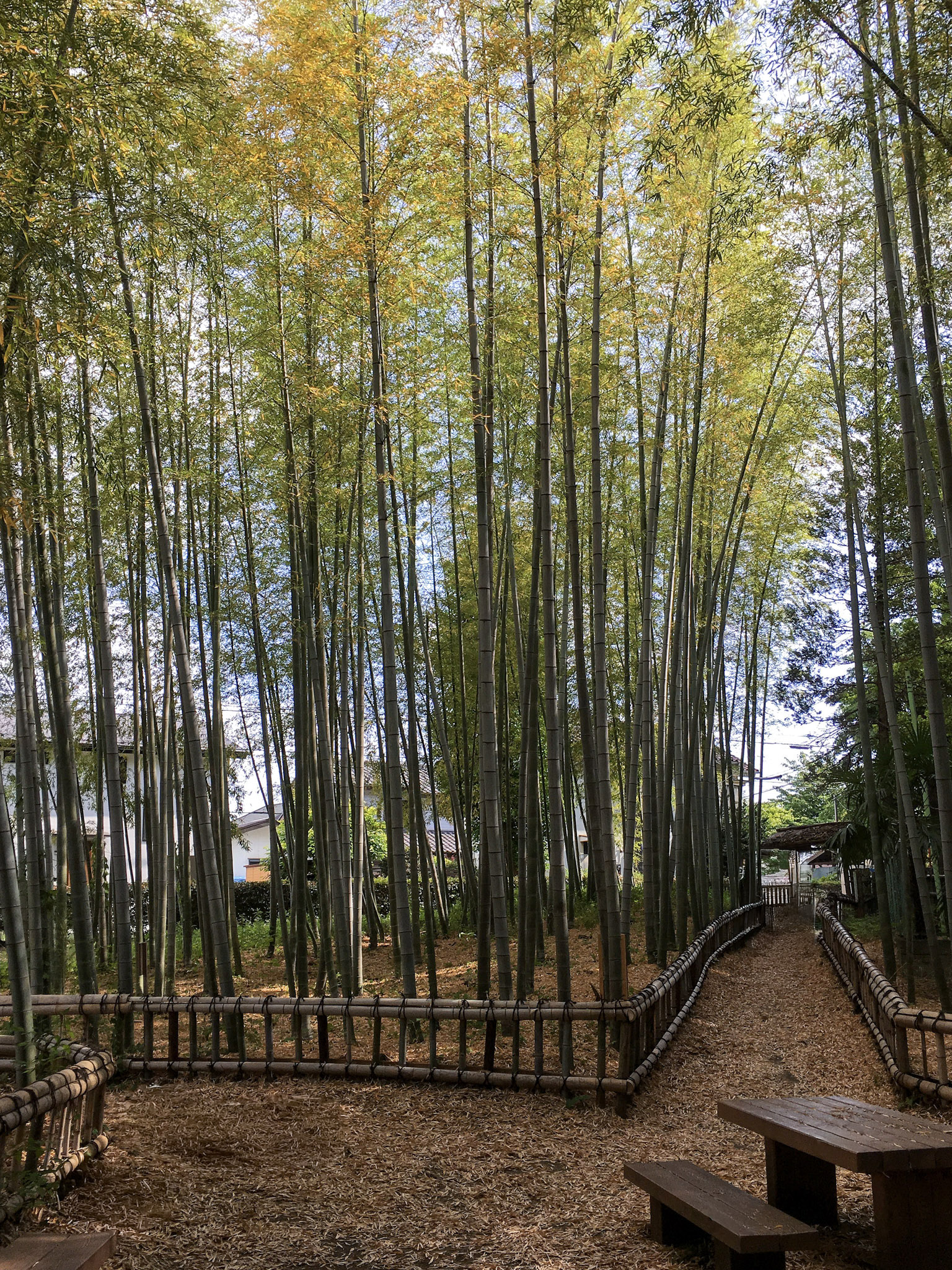 Higashikurume Chikurin Park