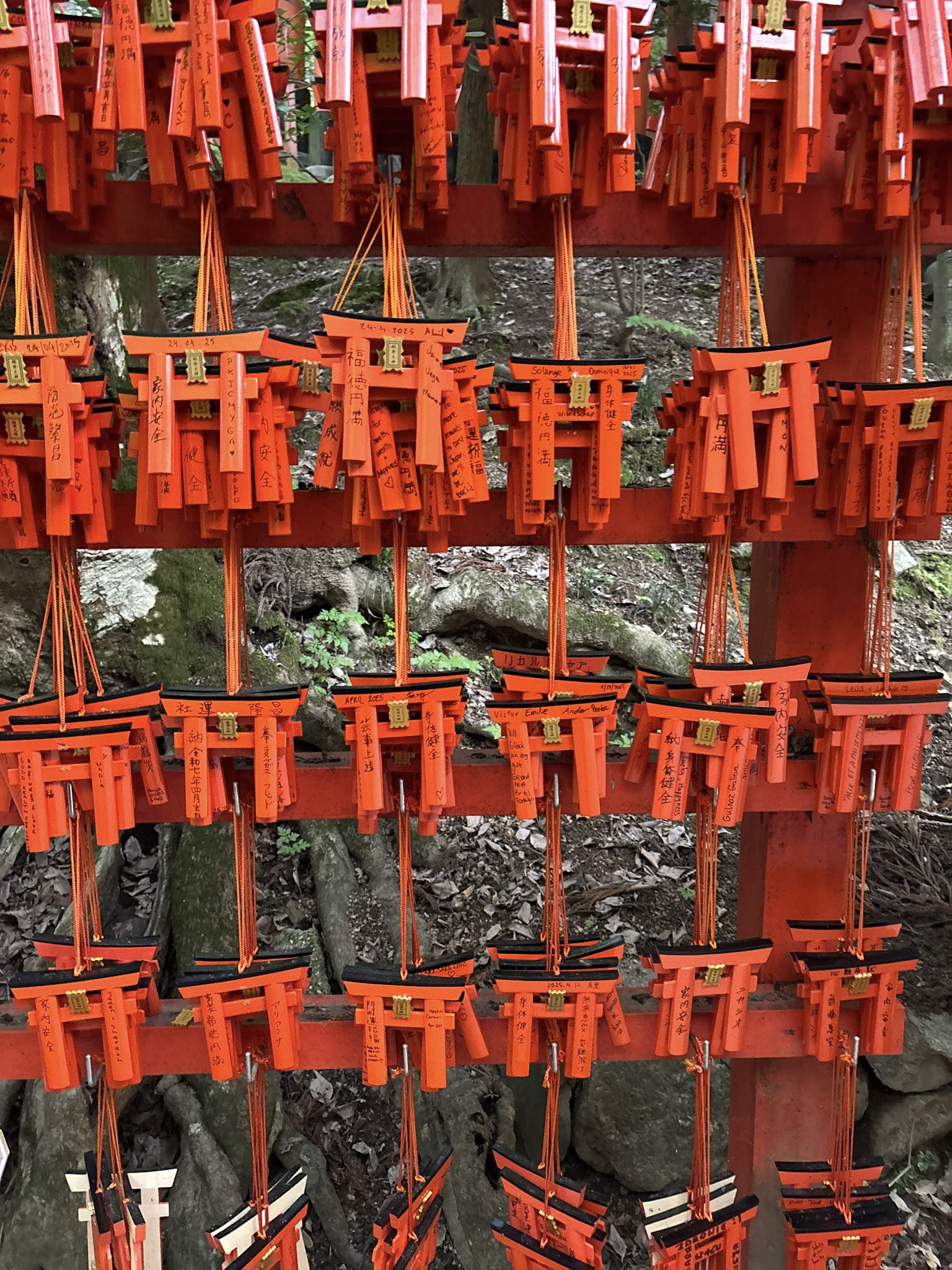 Fushimi Inari Hike Shrine Kyoto