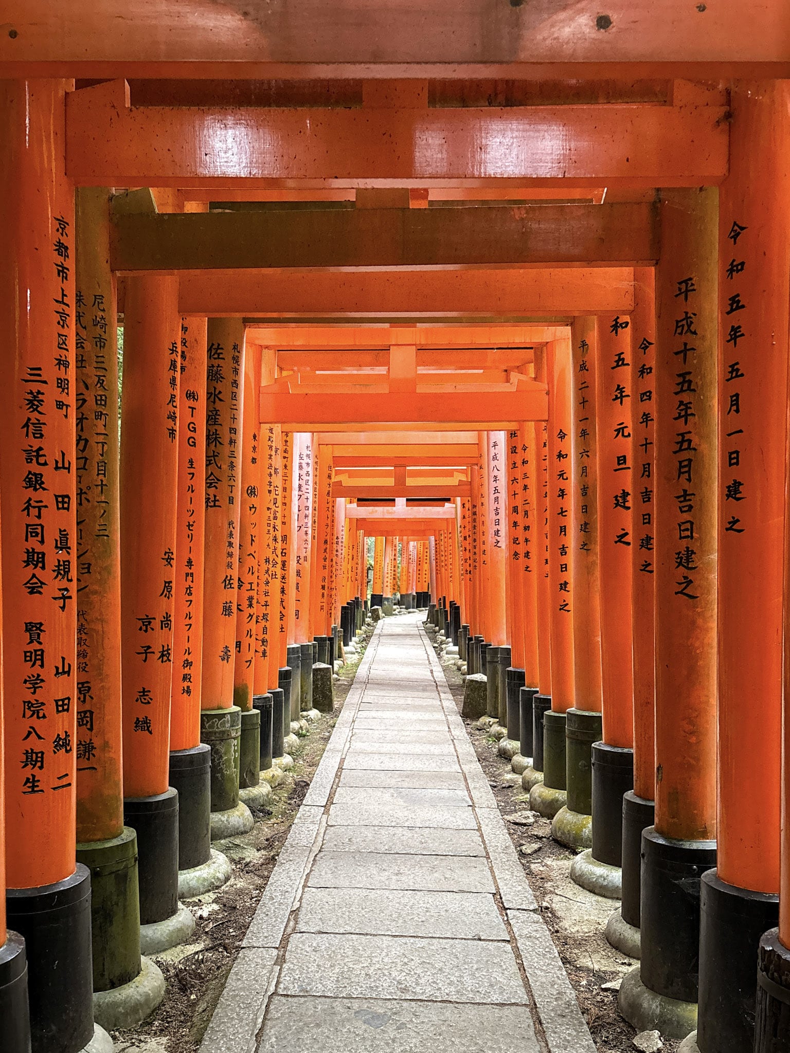 Fushimi Inari Hike Shrine Kyoto