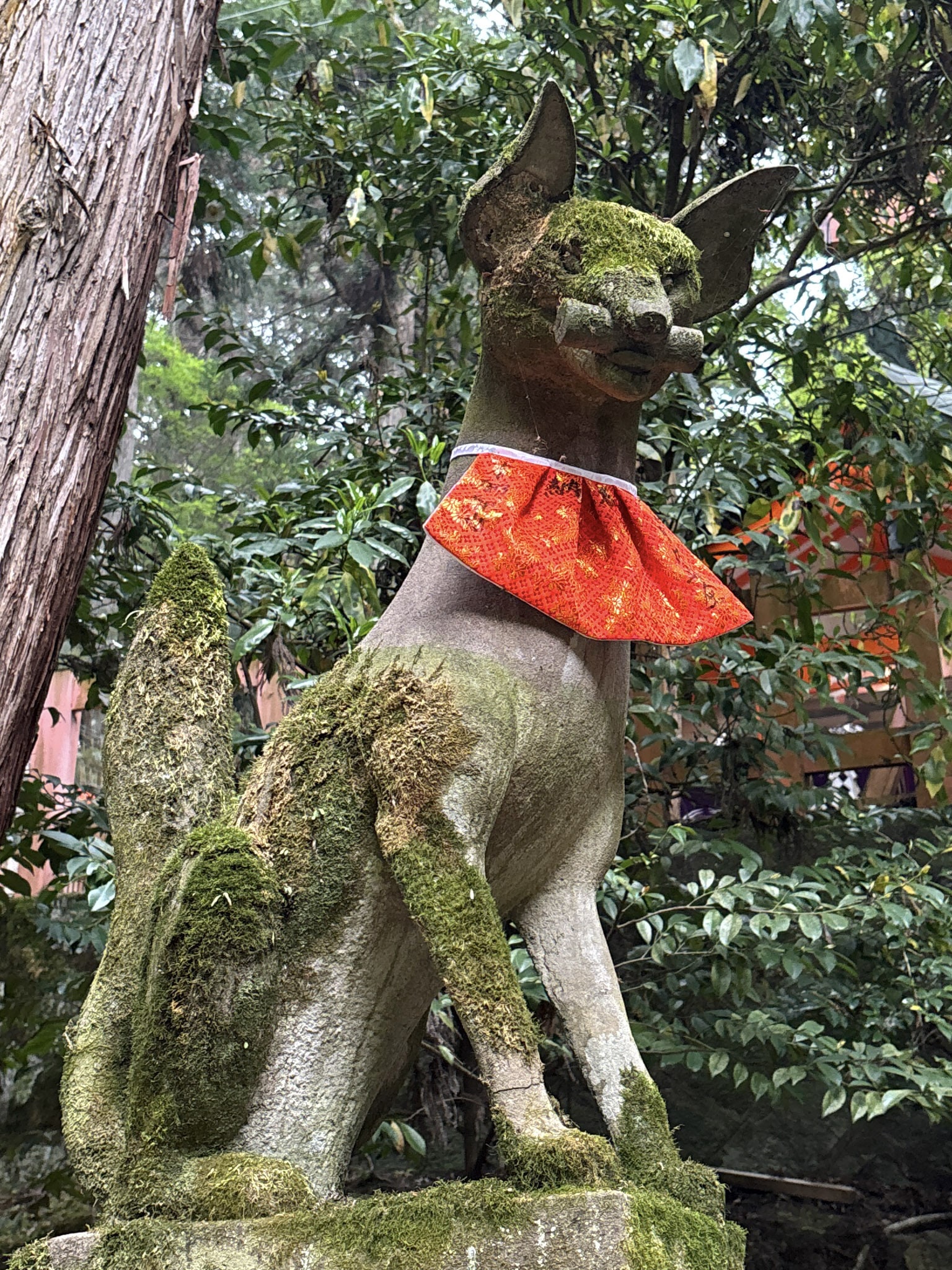Fushimi Inari Hike Shrine Kyoto