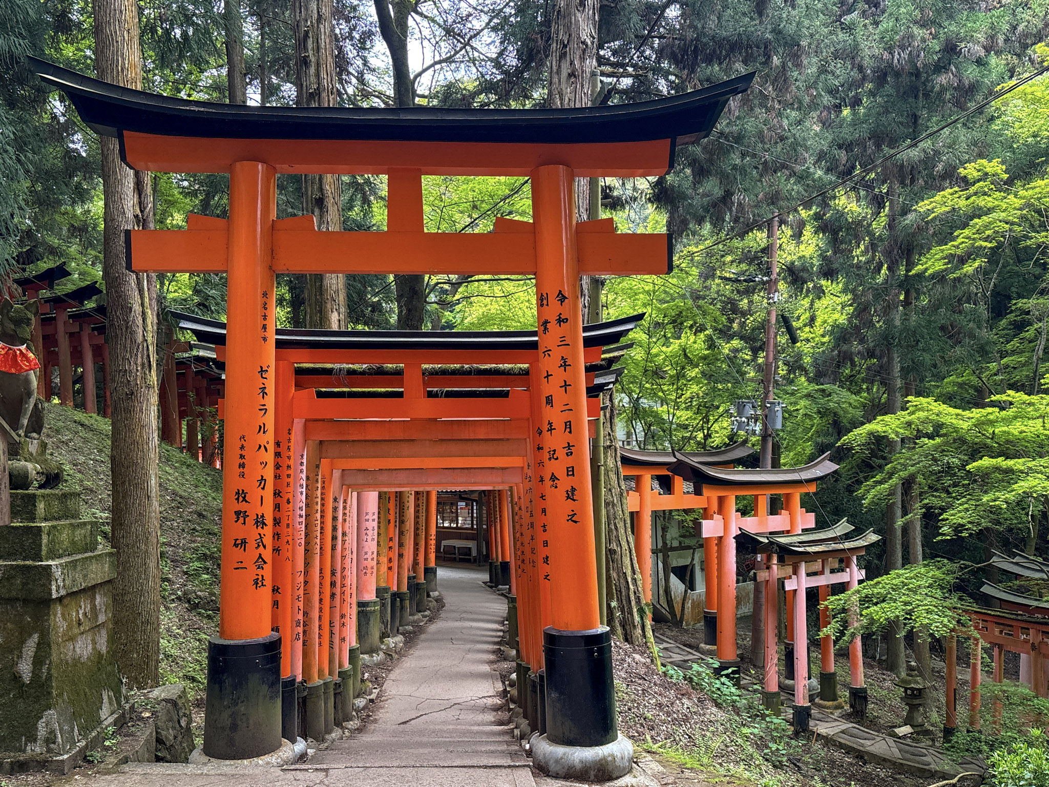 Fushimi Inari Hike Shrine Kyoto