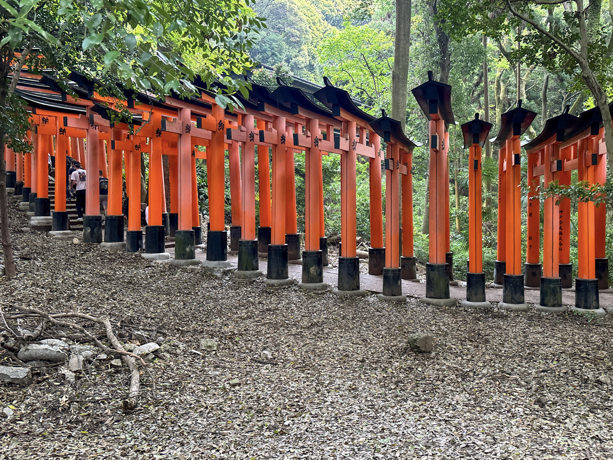 Fushimi Inari Hike Shrine Kyoto
