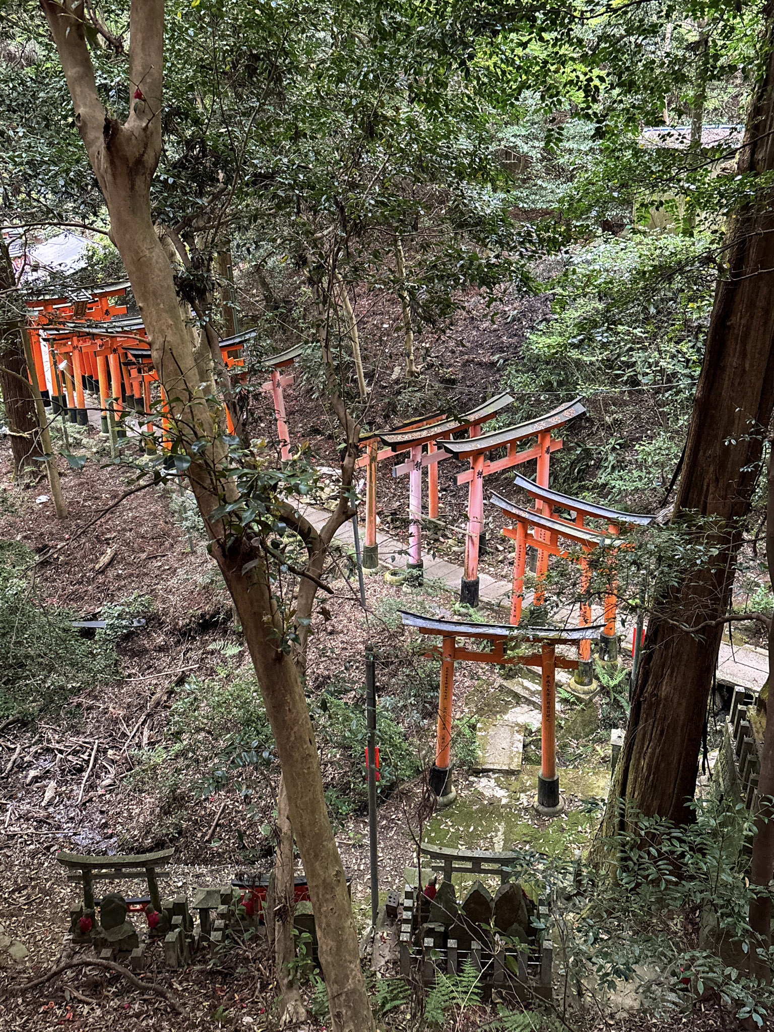 Fushimi Inari Hike Shrine Kyoto