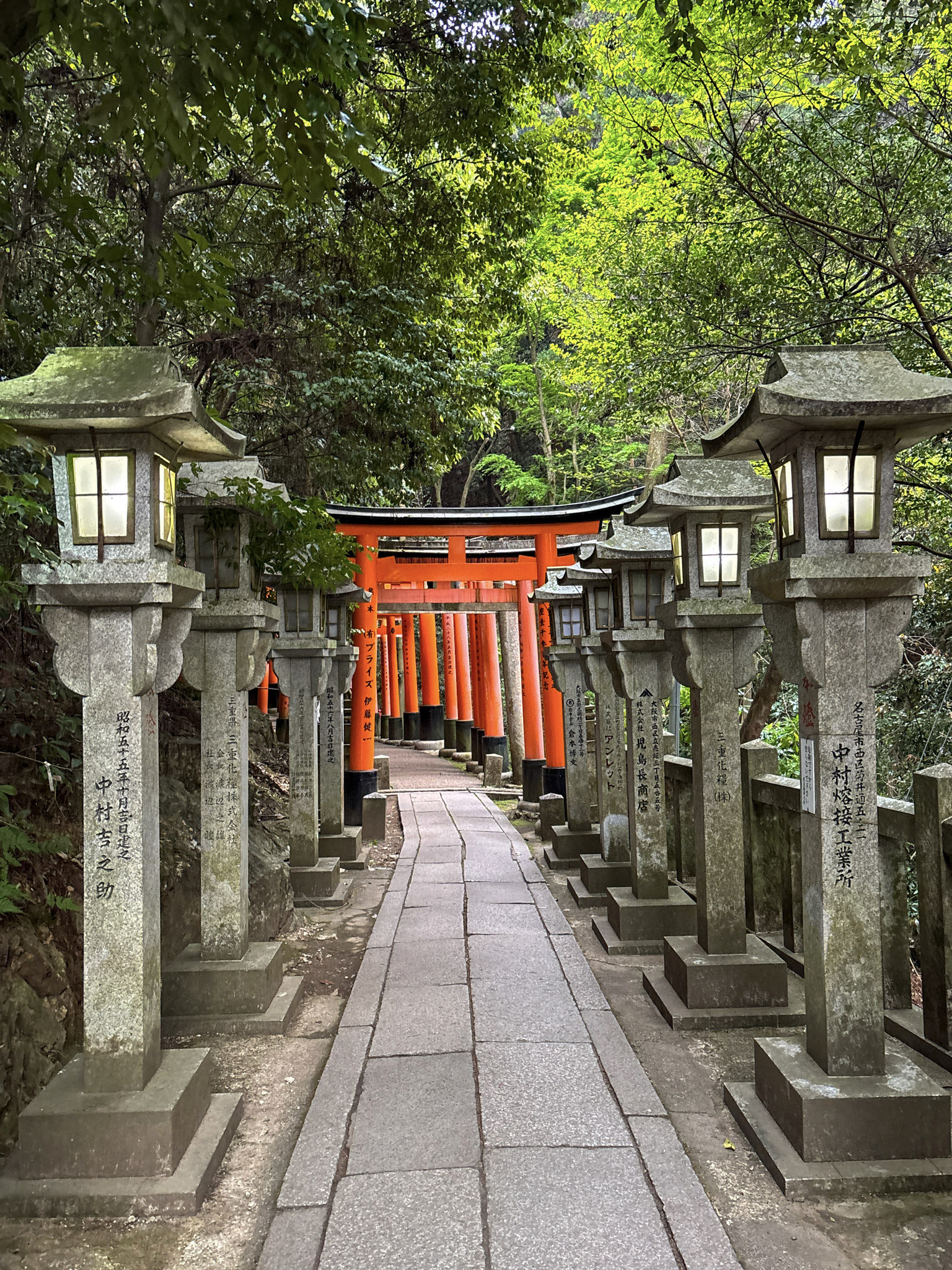Fushimi Inari Hike Shrine Kyoto