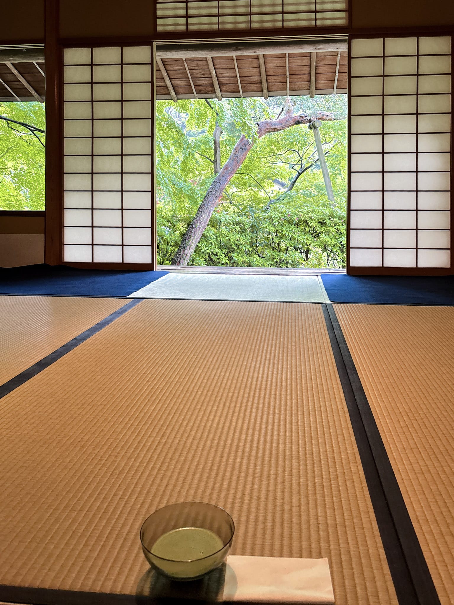 best things to see in tokyo nezu museum tea cerimony