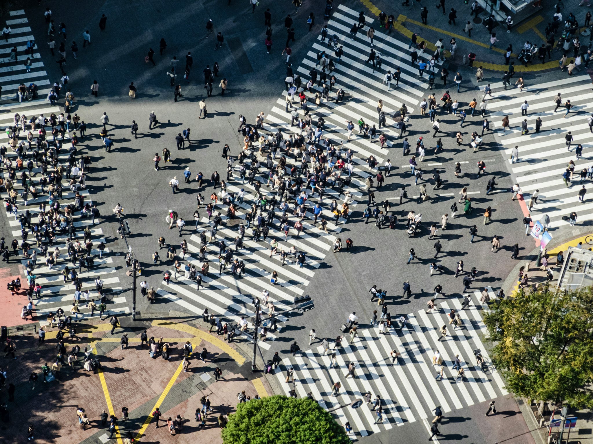 Shibuya Crossing