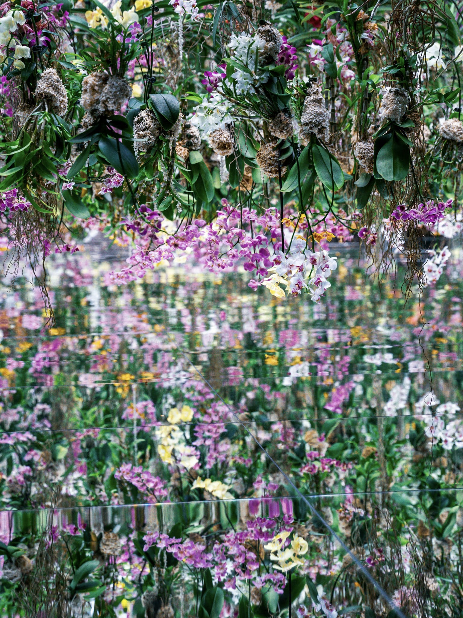TeamLab Planets Tokyo