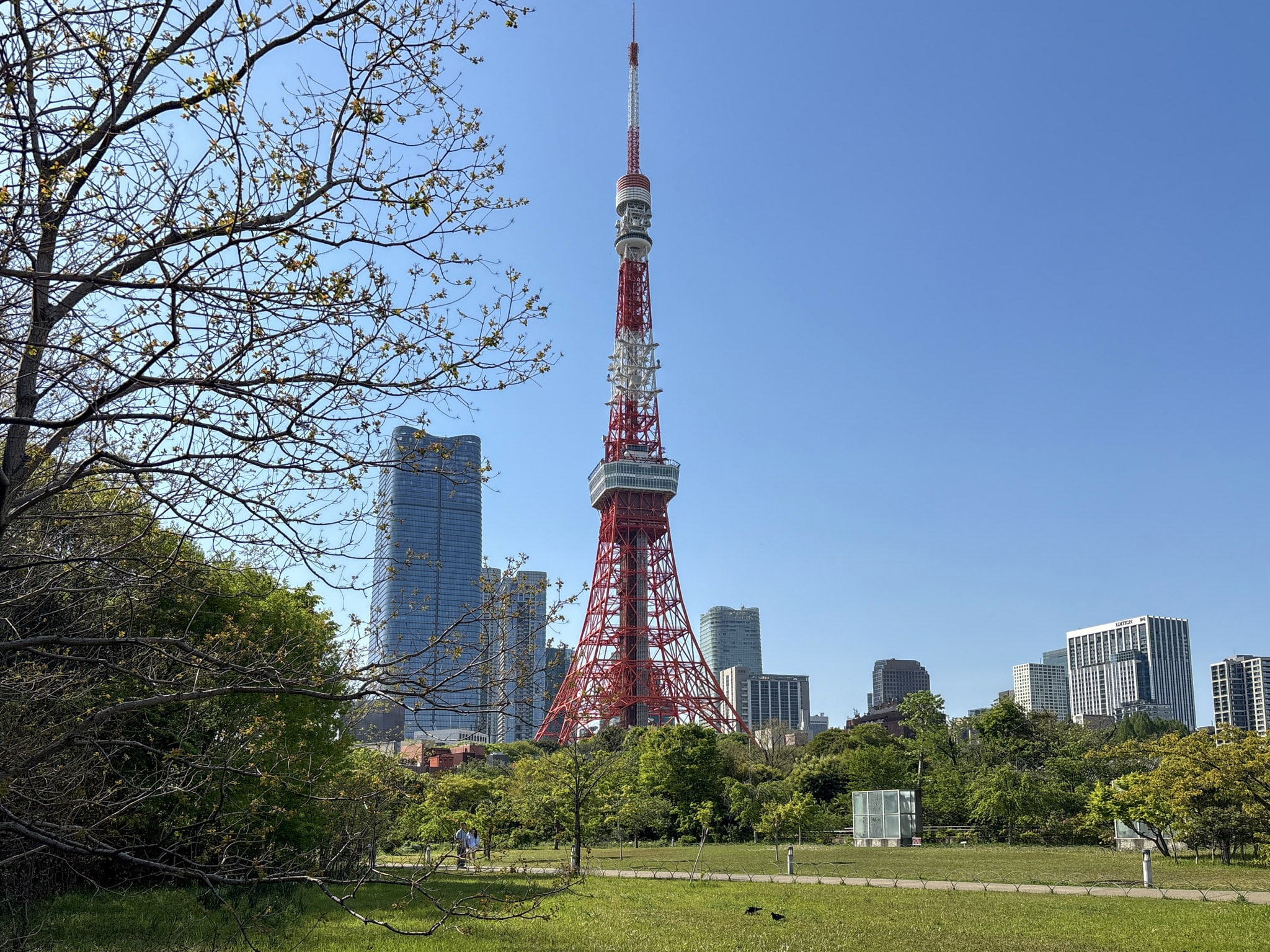 best things to see in tokyo tokyo tower