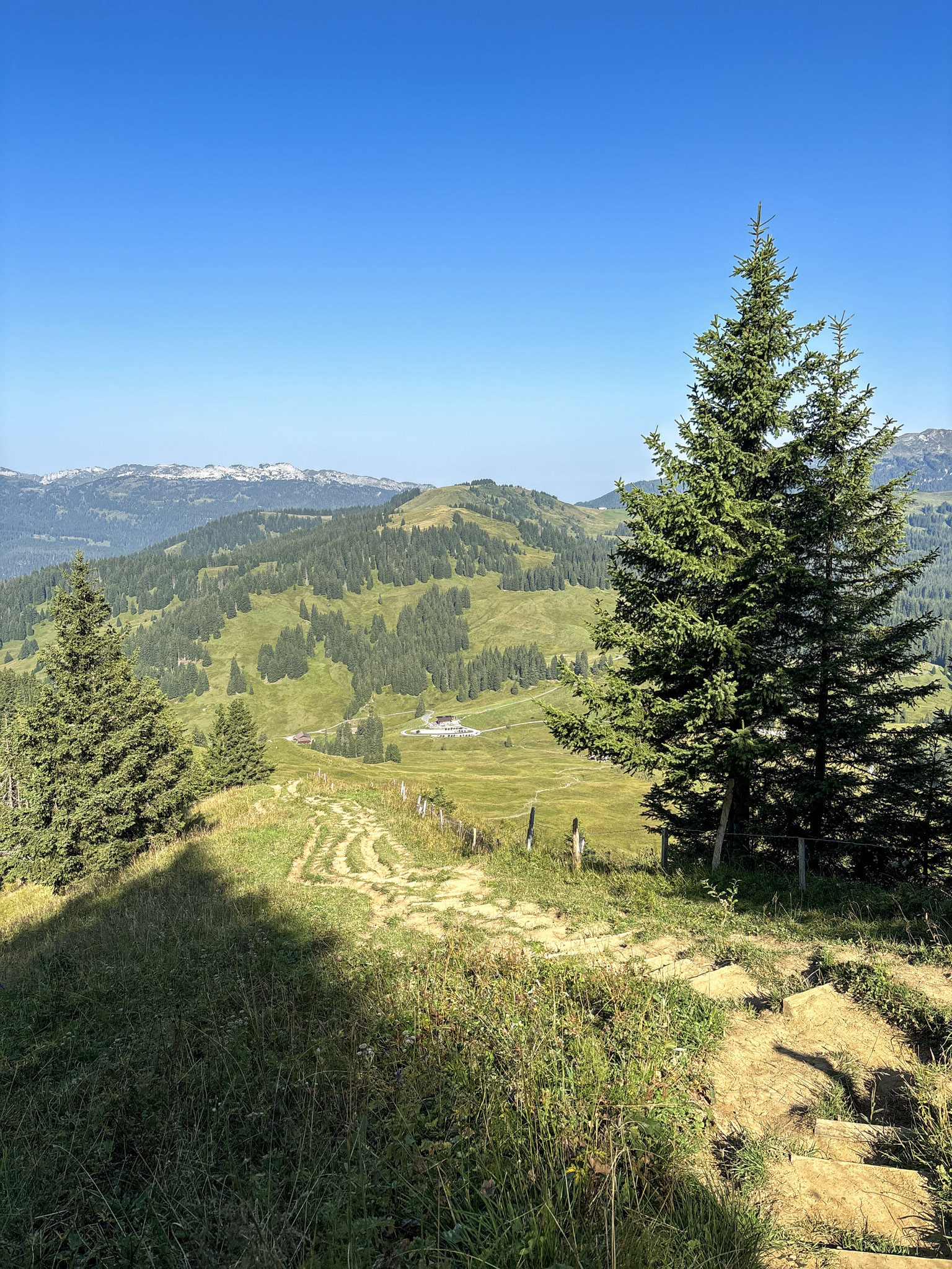 Augstmatthorn hike via Lombachalp