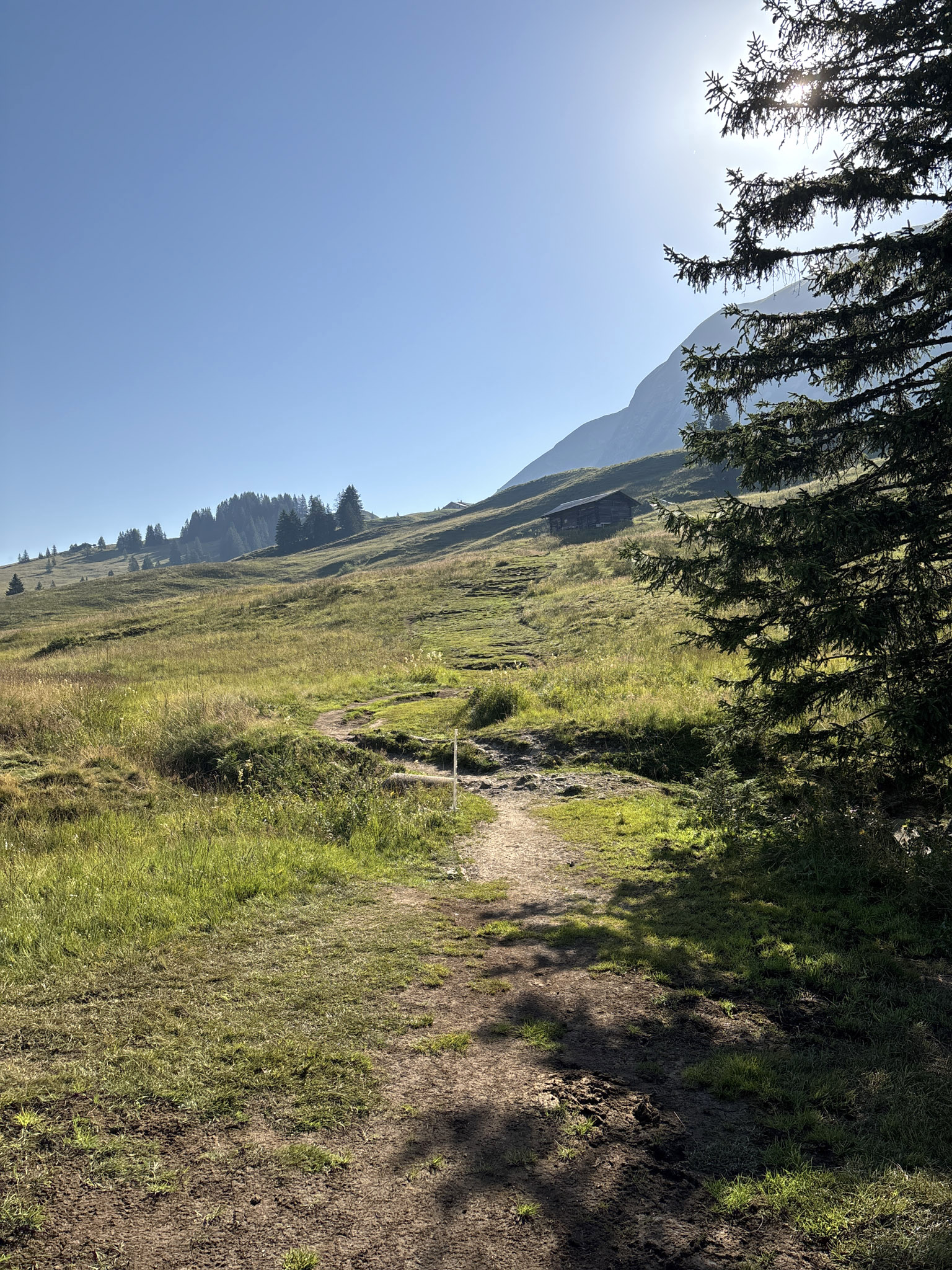 Augstmatthorn hike via Lombachalp 