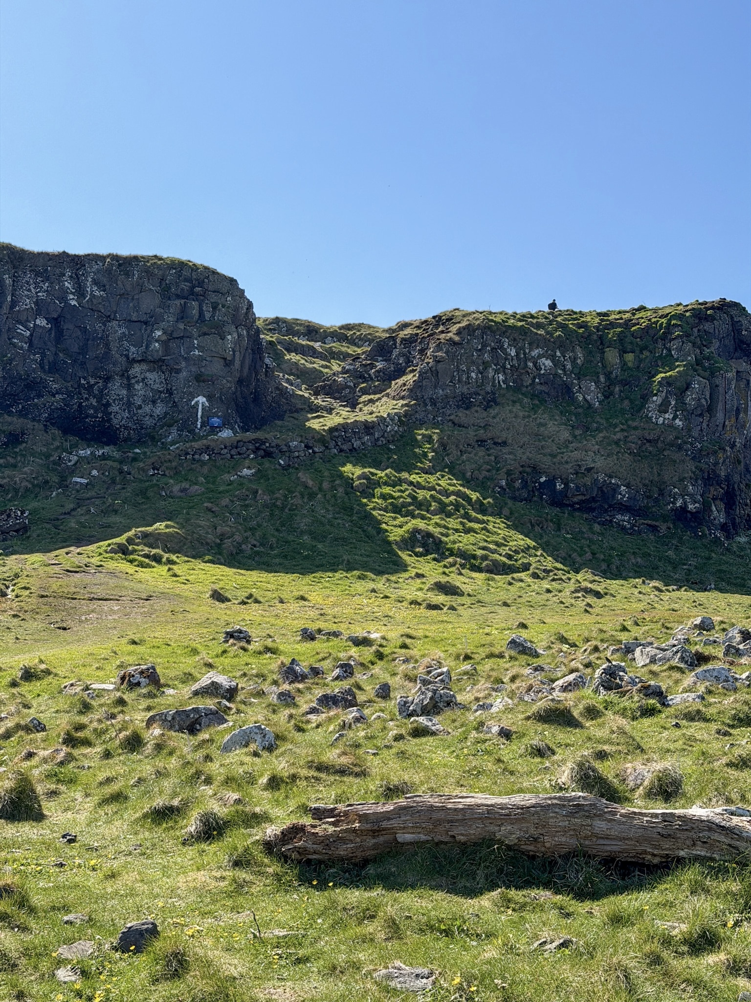 Isle of Lunga Scotland Puffin Tour 