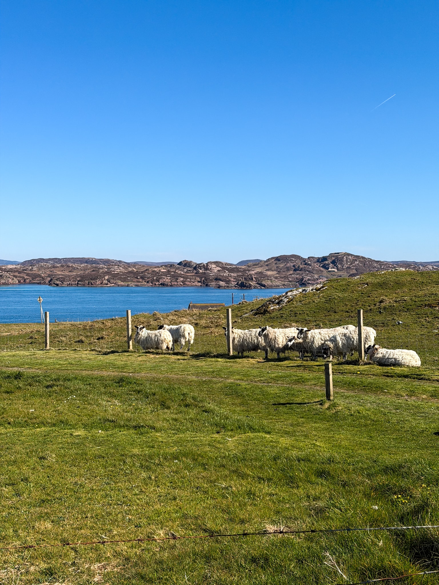 Isle of Iona Scotland Tour 