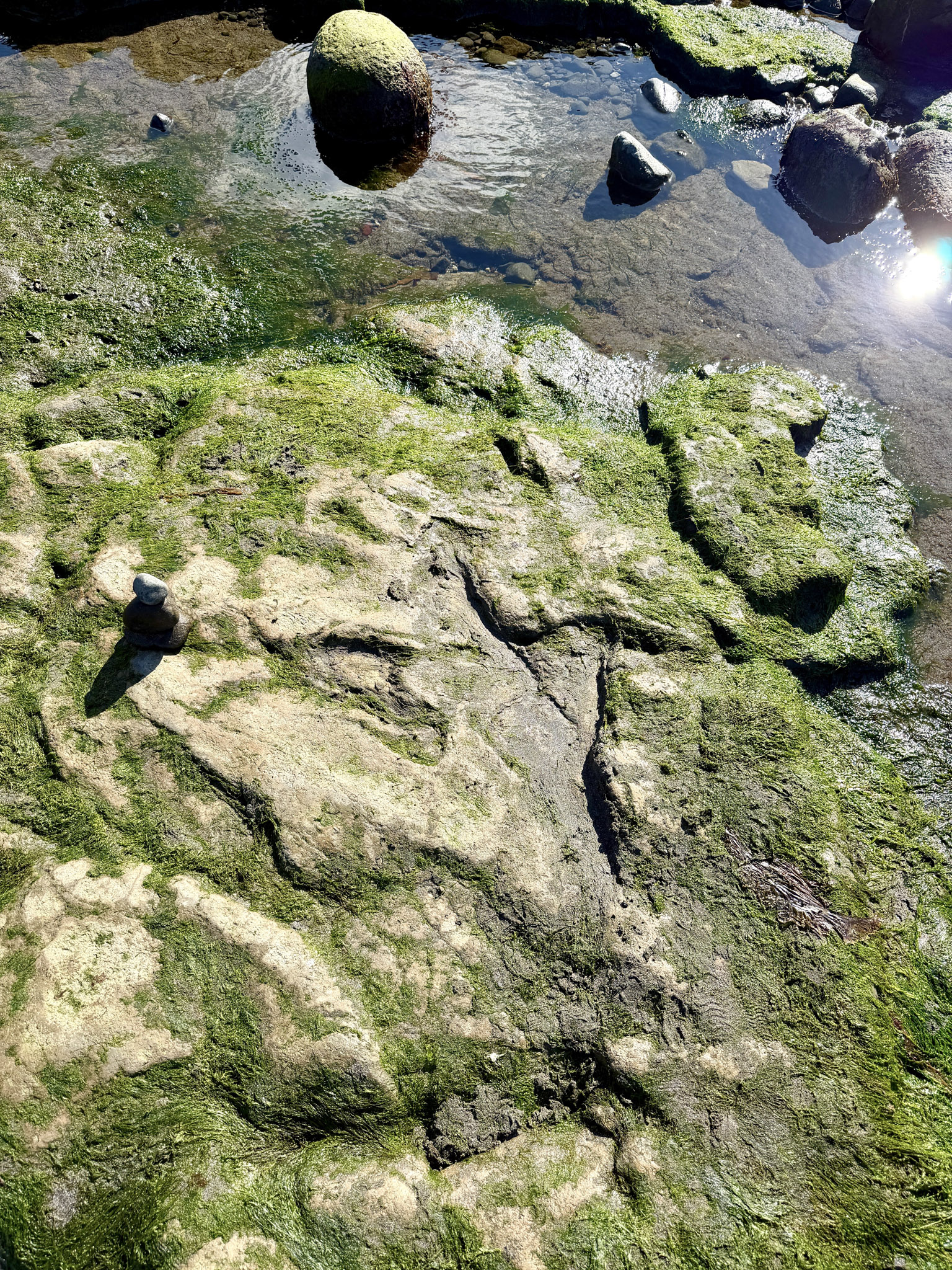4-An Corran Beach Scotland Dinosaur Fooprint 3 An Corran Dinosaur Fooprint