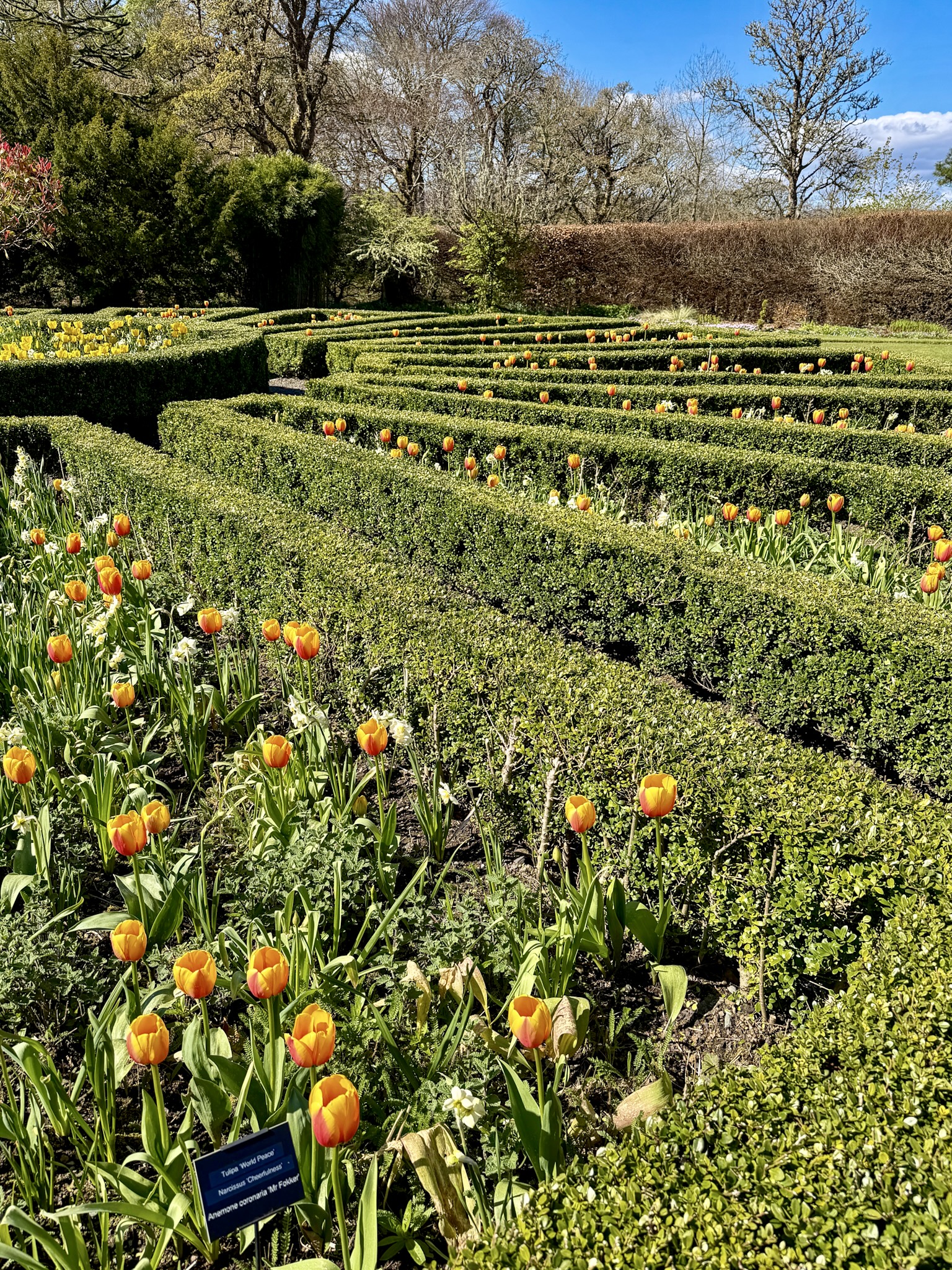 Dunvegan Castle Gardens Skye Dunvegan Castle Gardens Skye