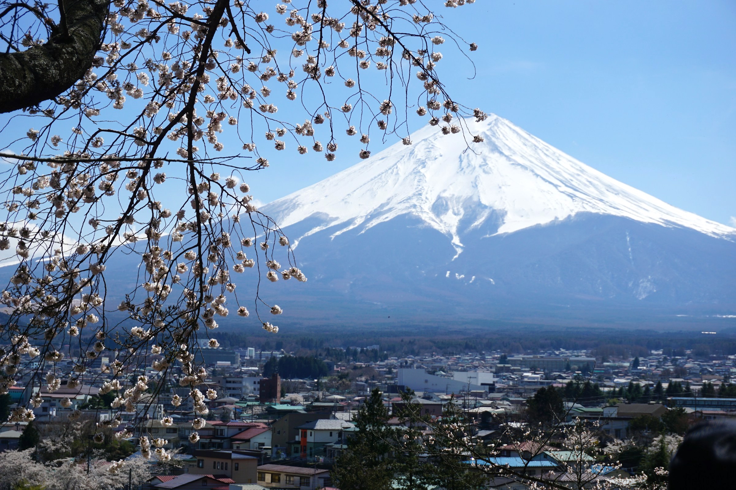 Kawaguchiko Mount Fuji Cinque Torri Hike Dolomites Passo Giau