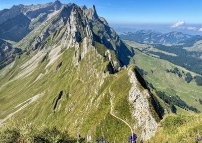 Shafler Ridge Hike Swizerland