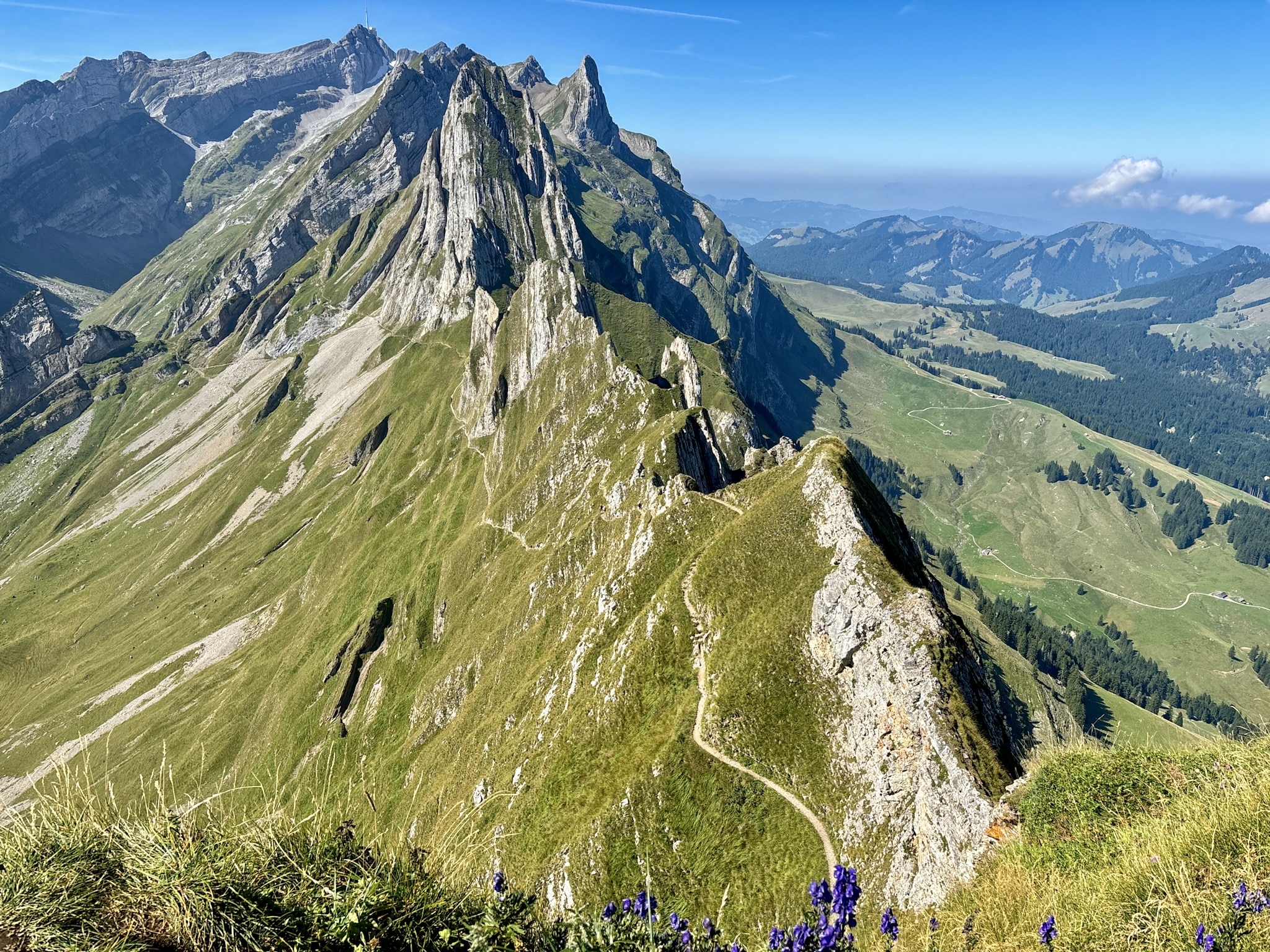 Shafler Ridge Hike Swizerland