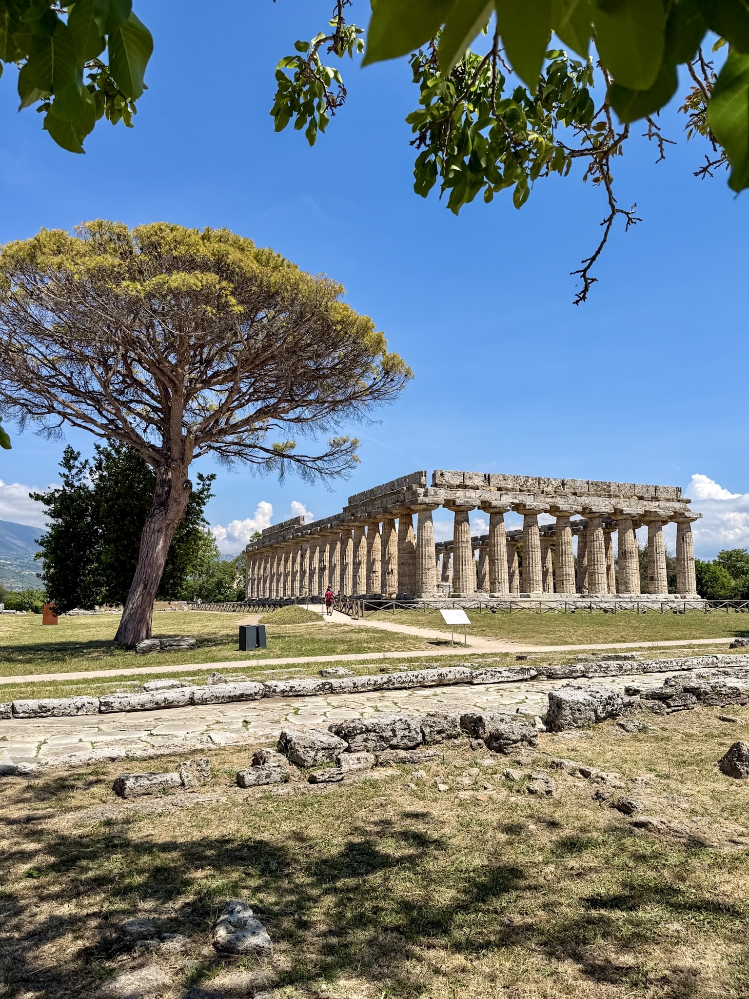 Paestum Italy Temple of Hera 1 Paestum Italy Temple of Hera