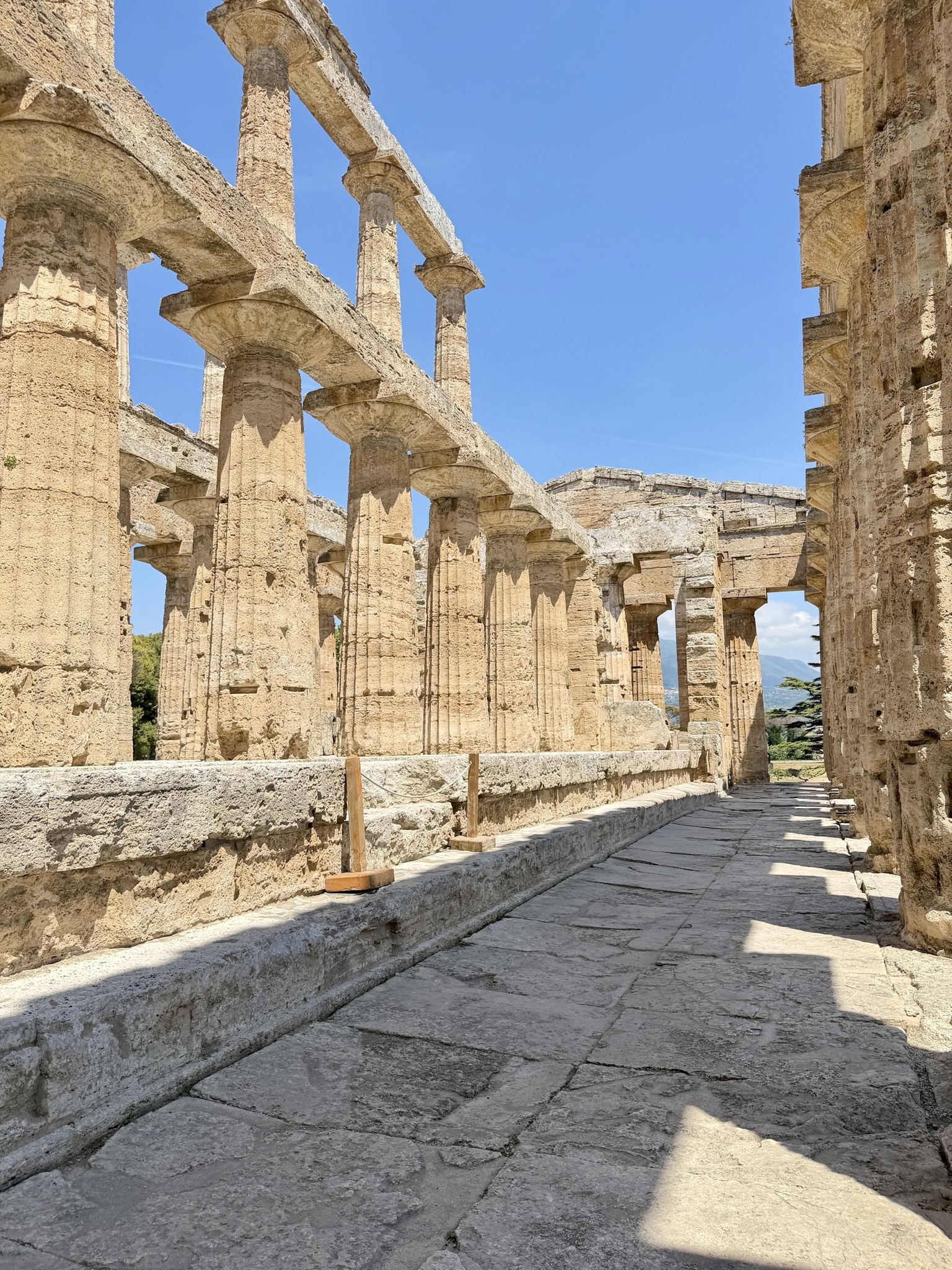 Paestum Italy Temple of Poseidon Inside 1 Paestum Italy Temple of Poseidon Inside
