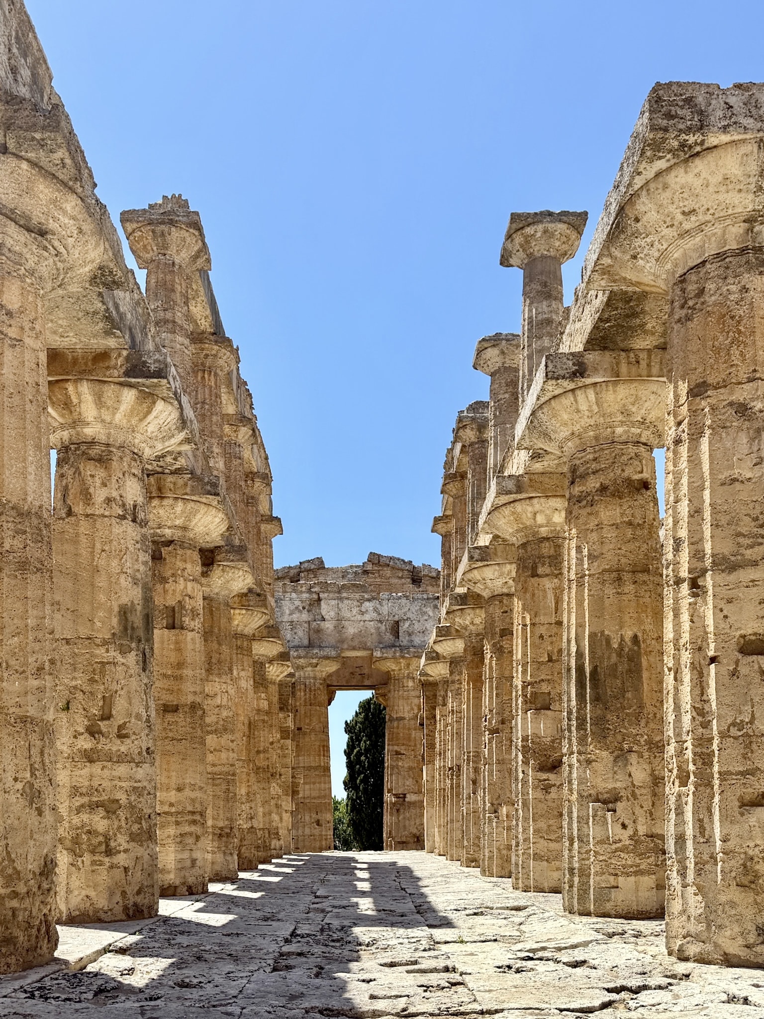 Paestum Italy Temple of Poseidon Inside 2 Paestum Italy Temple of Poseidon Inside
