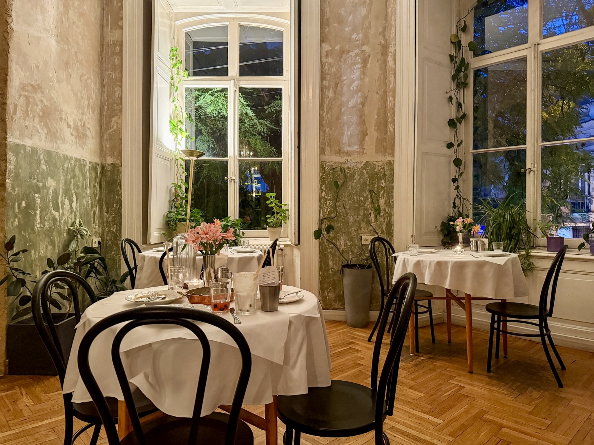 Best Georgian Restaurants Tbilisi Iasamani