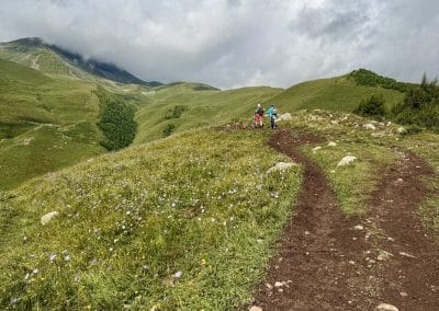 Gergeti Glacier Trail