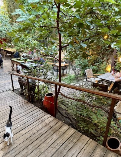 Shavi Lomi Garden