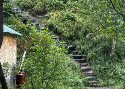 Truso Cafè Tire Slope
