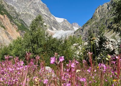 Chalaadi Glacier Hike Guide