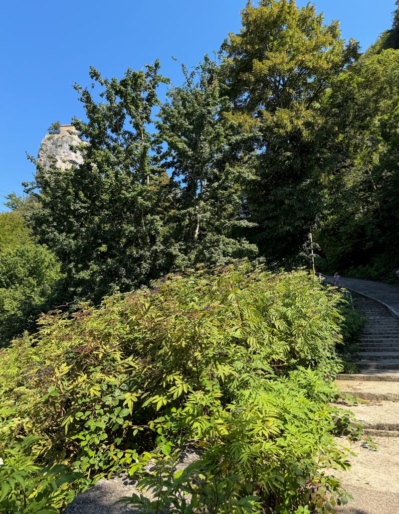 Walk up to Katskhi Pillar