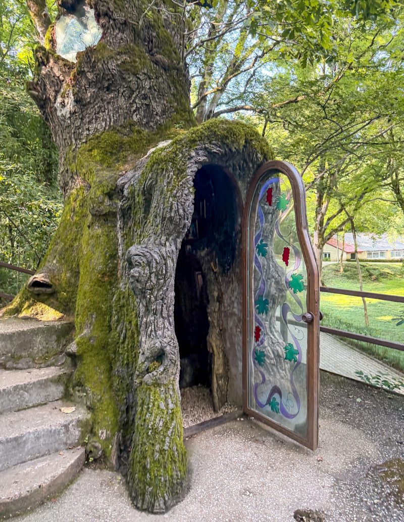 The tiny chapel inside a 400-year-old oak at the Kutaisi Botanical Garden.