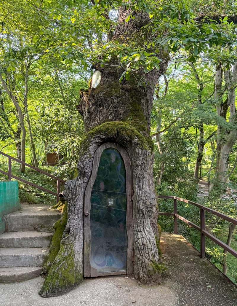 The oak tree chapel and the small amphitheater in the Botanical Garden in Kutaisi