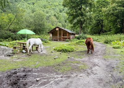 Guards Post with Horses